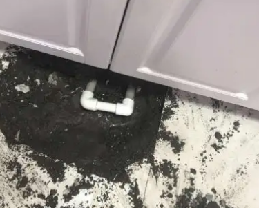 灵石查漏水哪家好
